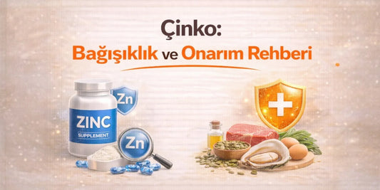 Çinko: Bağışıklık ve Onarım Rehberi