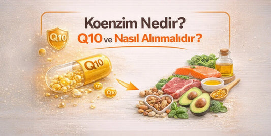 Koenzim Nedir Q10 ve Nasıl Alınmalıdır?