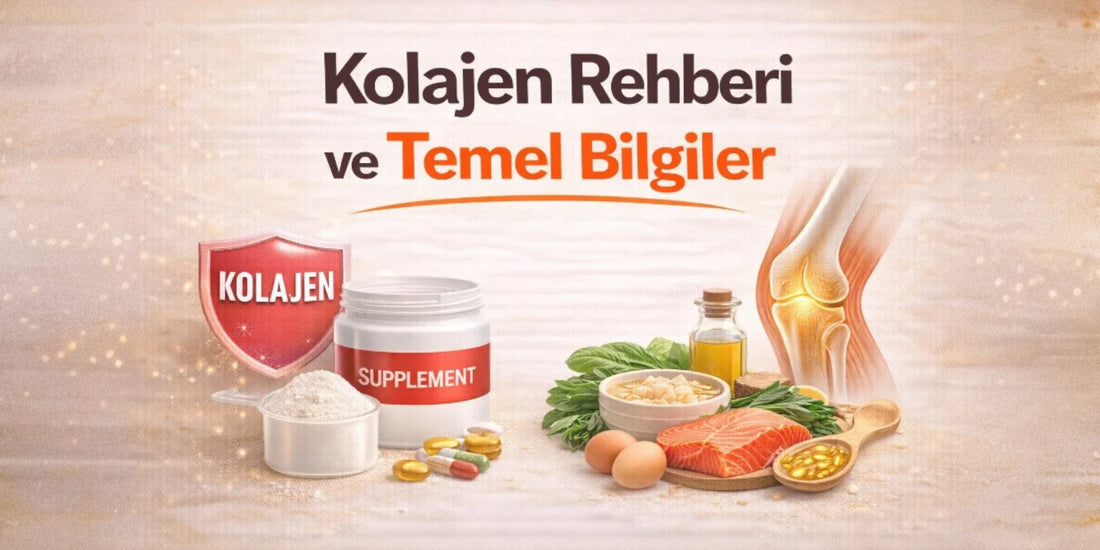 Kolajen Rehberi ve Temel Bilgiler