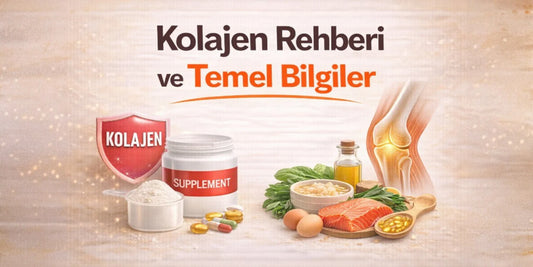 Kolajen Rehberi ve Temel Bilgiler