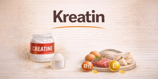 Kreatin